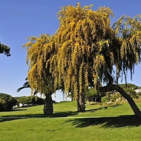 4 Bedrooms 186 Swimming Pool Vale do Lobo